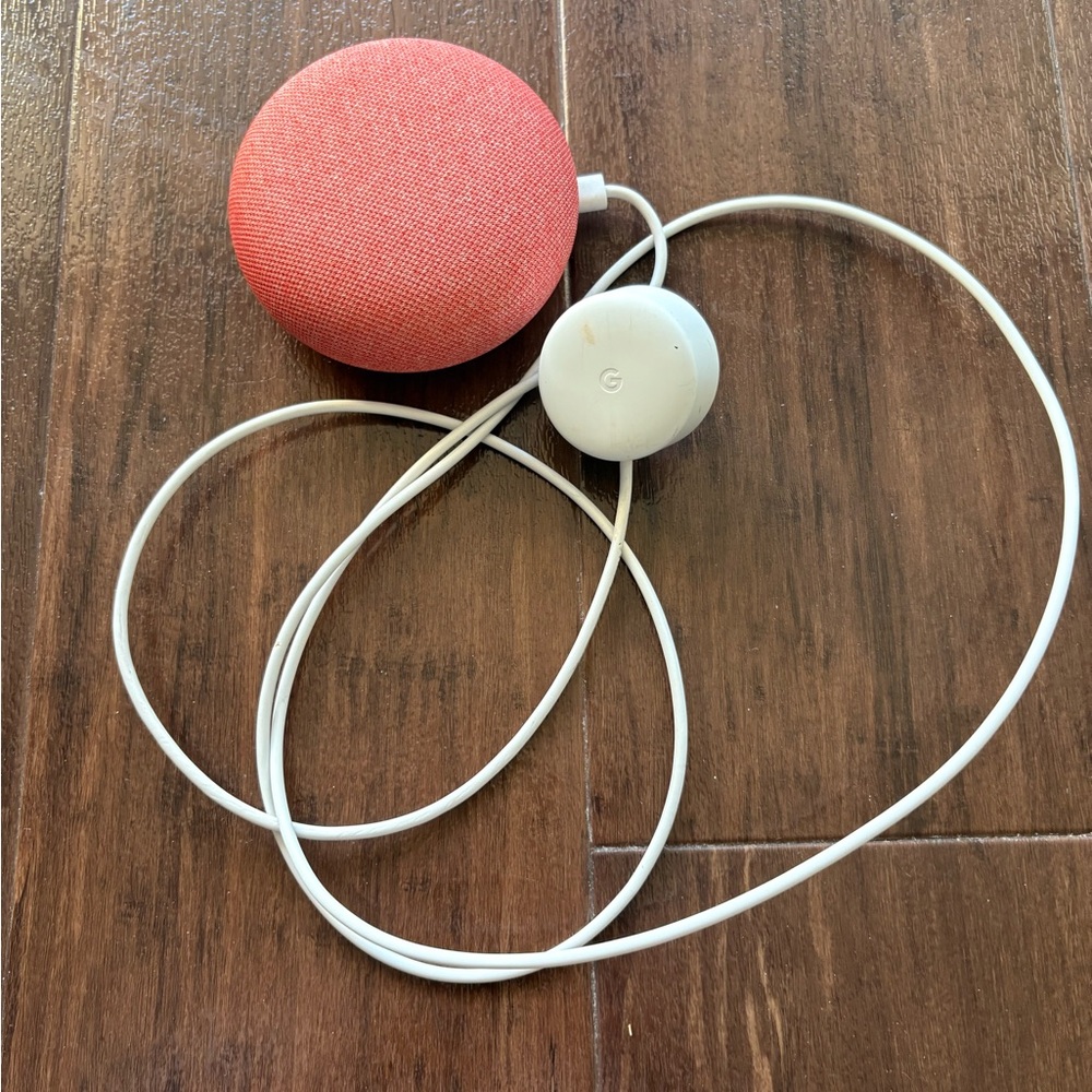 Google Home Mini Coral